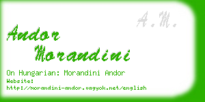 andor morandini business card